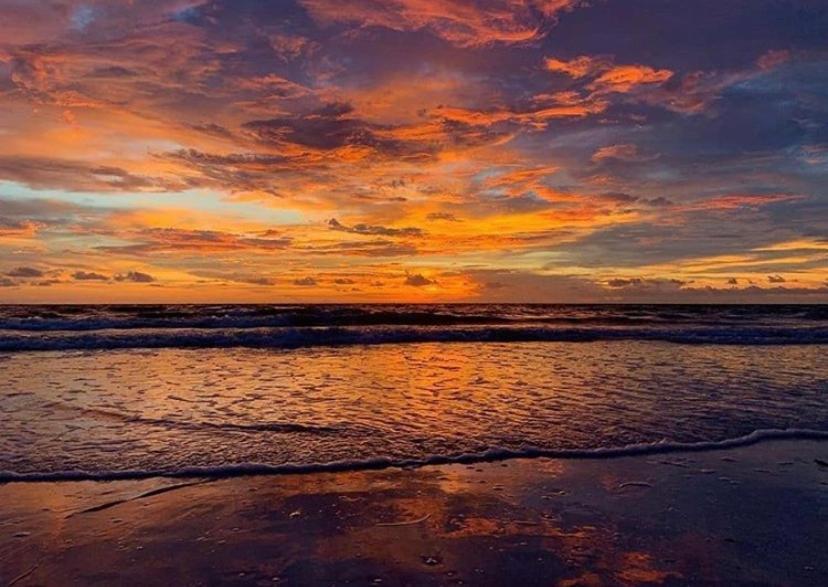 Private Room In A 2 Bedroom 1 Bathroom Shared With Host, On The Beach, Surrounded By Resorts, Only 2 People Max St. Pete Beach Buitenkant foto
